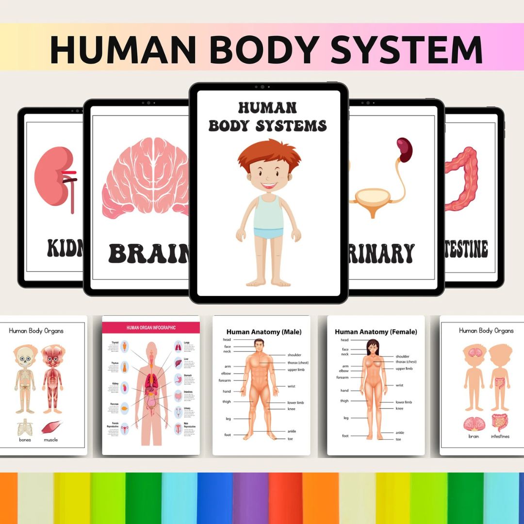 PLR - 10,000+ Preschool & Kindergarten Learning Pack