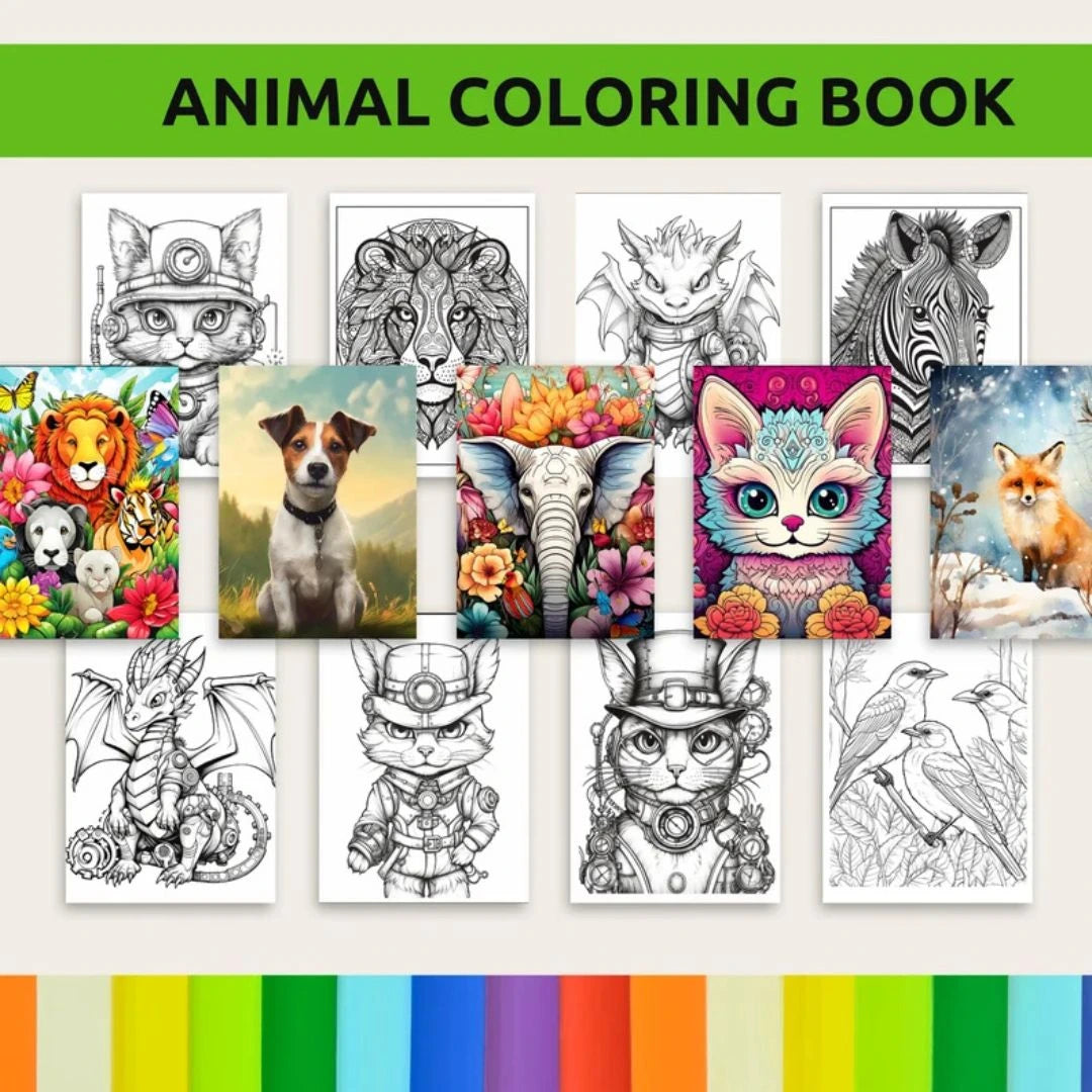 PLR Coloring Book 10,000+ Pages Bundle for KDP6