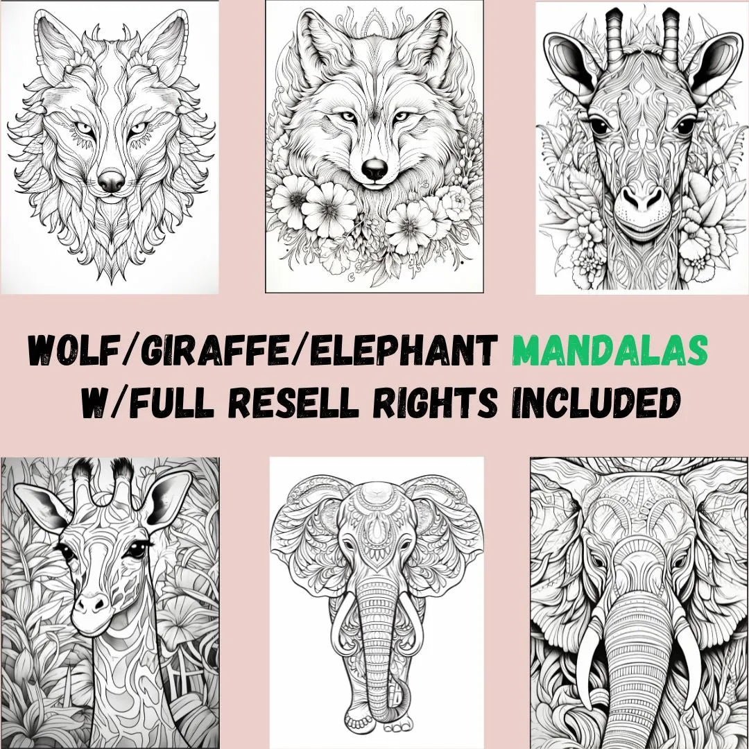 MRR +50 Coloring Pages, Mandala MEGA Bundle with Full Master Resell Rights