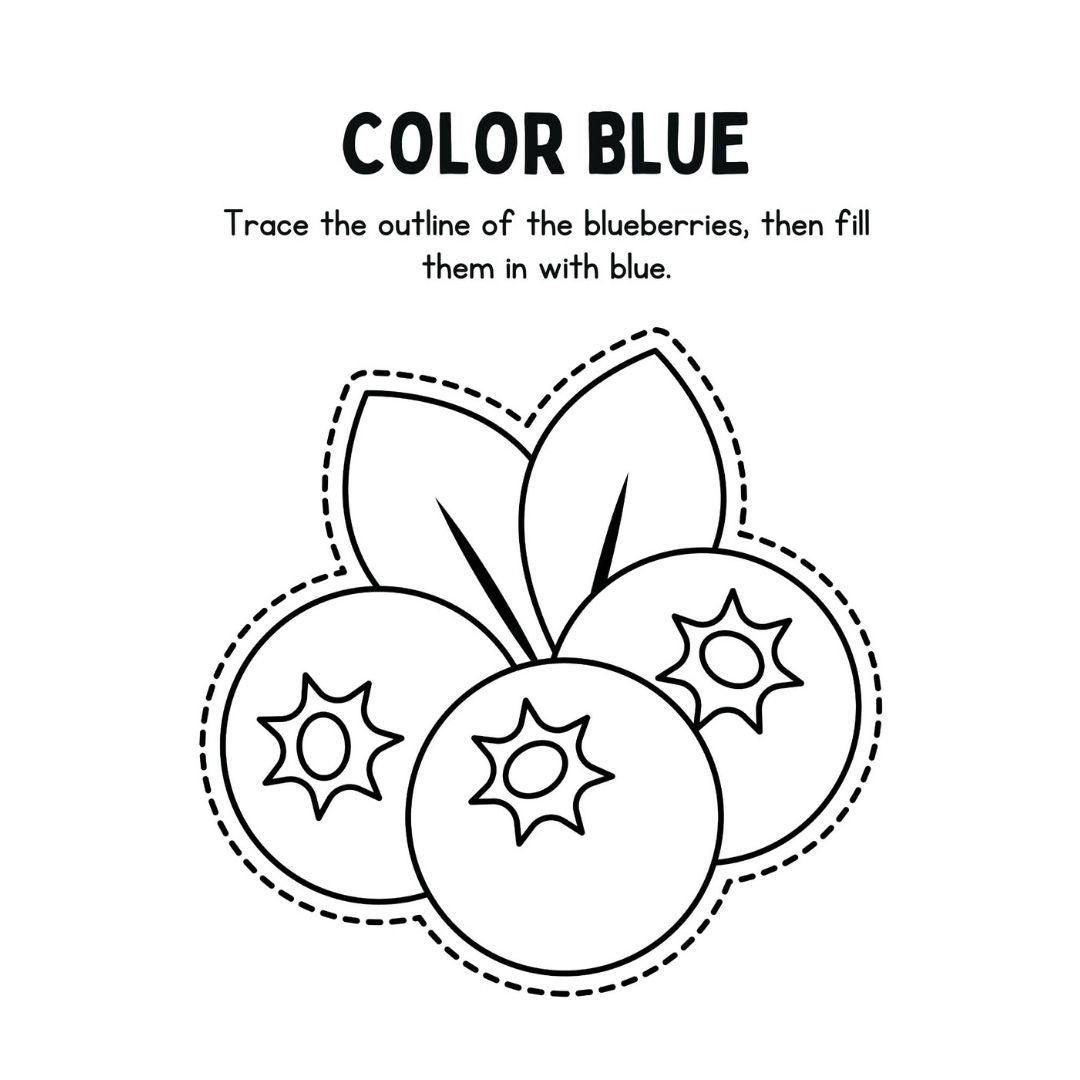 MRR - 20 Engaging Kindergarten Color Workbooks, Full Master Resell Rights - Limited Time!